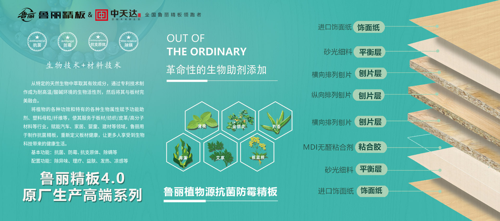 中天達(dá)-木門(mén),不止于顏值